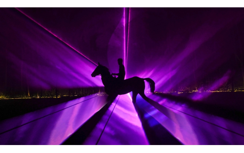 夜游野馬，探秘“野馬幻影”秘境