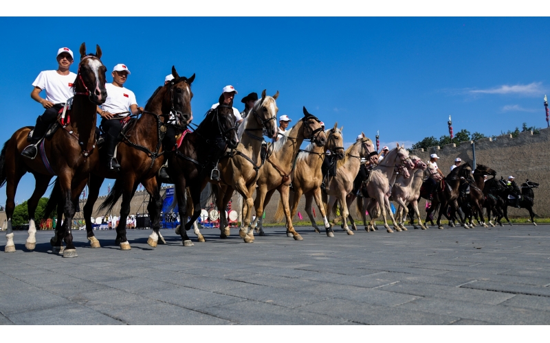 伊犁州察布查爾縣巡游